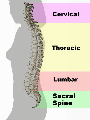 Spondylolysis and Lower Back Pain